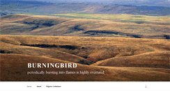 Desktop Screenshot of burningbird.net